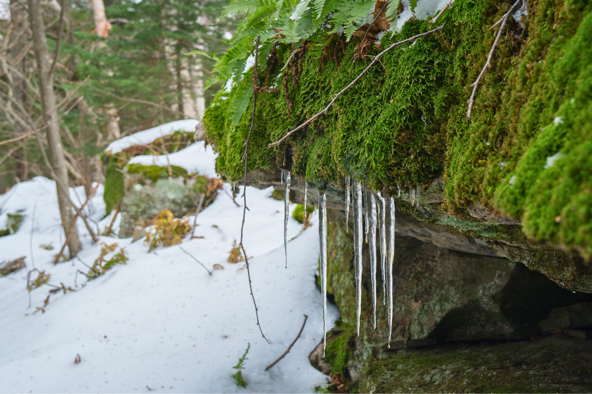 Verwitterungsschäden bei Natursteinen vorbeugen - Natursteinpflege im Winter